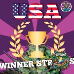 USA WINNER