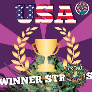 USA WINNER