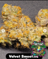 Velvet Smoothie Feminized Seeds by In House Genetics
