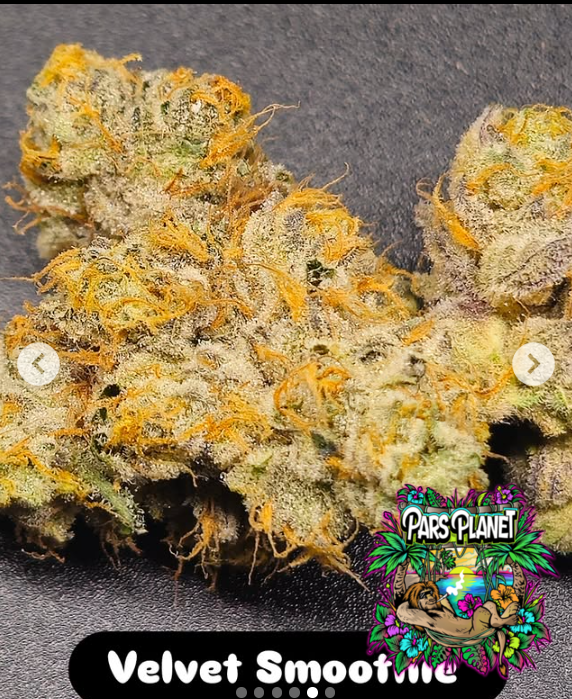 Velvet Smoothie Velvet Smoothie Feminized Seeds by In House Genetics - Image 1