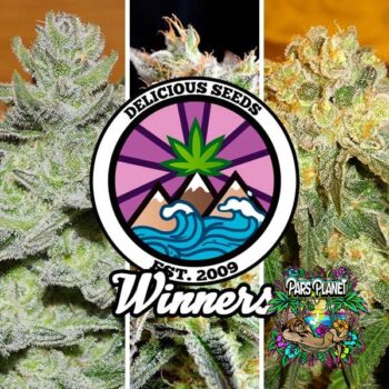 winners collection