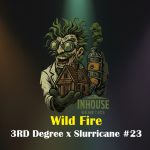 Wild Fire Feminized Seeds by In House Genetics