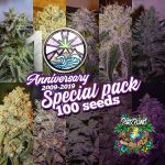 10TH ANNIVERSARY PACK â€“ 100 SEEDS
