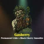 Gasberry Feminized Seeds by In House Genetics