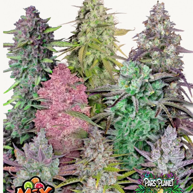 Mix Pack Auto