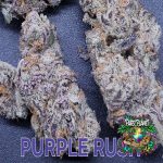 Purple Rush