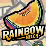 Rainbow Melon