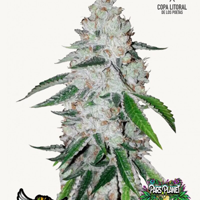 West Coast O.G.