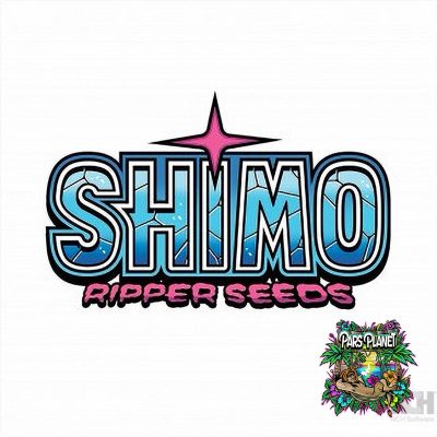 Shimo Feminized Seeds