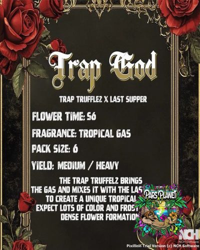 Trap God Seeds