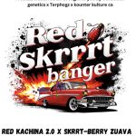 Red Skrrrt Banger Feminized Seeds by Conscious Genetics a collaboration with Terphogz & Konuter Kulture ca