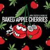 Baked Apple Cherries Feminized Seeds by Elev8 Seeds Genetics - Image 3