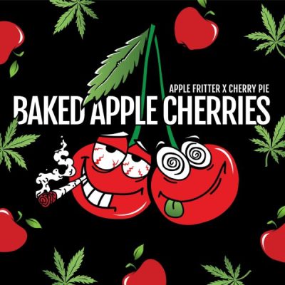 Baked Apple Cherries Feminized Seeds by Elev8 Seeds Genetics - Image 3