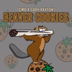 Beaver Cookies Feminized Seeds by Elev8 Seeds Genetics