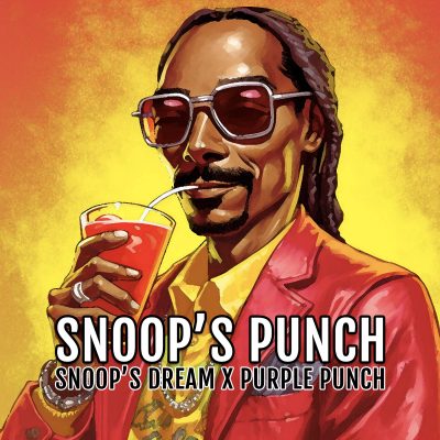 Snoop's Punch Feminized Seeds by Elev8 Seeds Genetics - Image 4