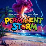 Permanent Strom Feminized Seeds by Elev8 Seeds Genetics