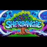 Sherbangie Feminized Seeds by Elev8 Seeds Genetics