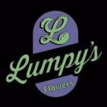 Apple Fritter Lumpy's Cut