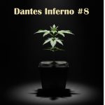 Dantes Inferno #8