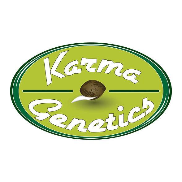 Di Frutti Di Frutti - Image 1