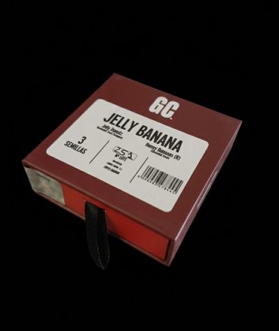 Jelly Banana - Image 2