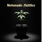 Melonade Zkittlez