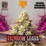 Rainbow Guava Feminized Seeds by Nugs 420
