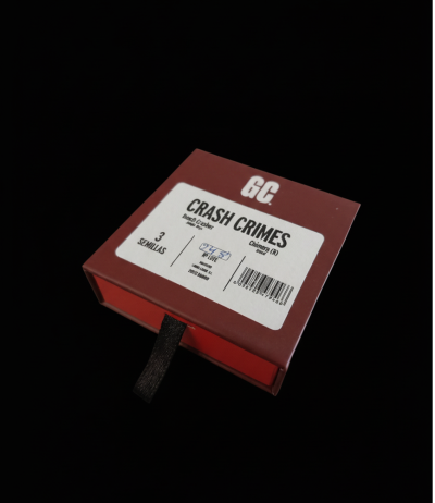 Crash Crimes - Image 2