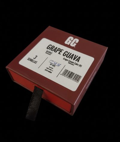 Grape Guava - Image 2