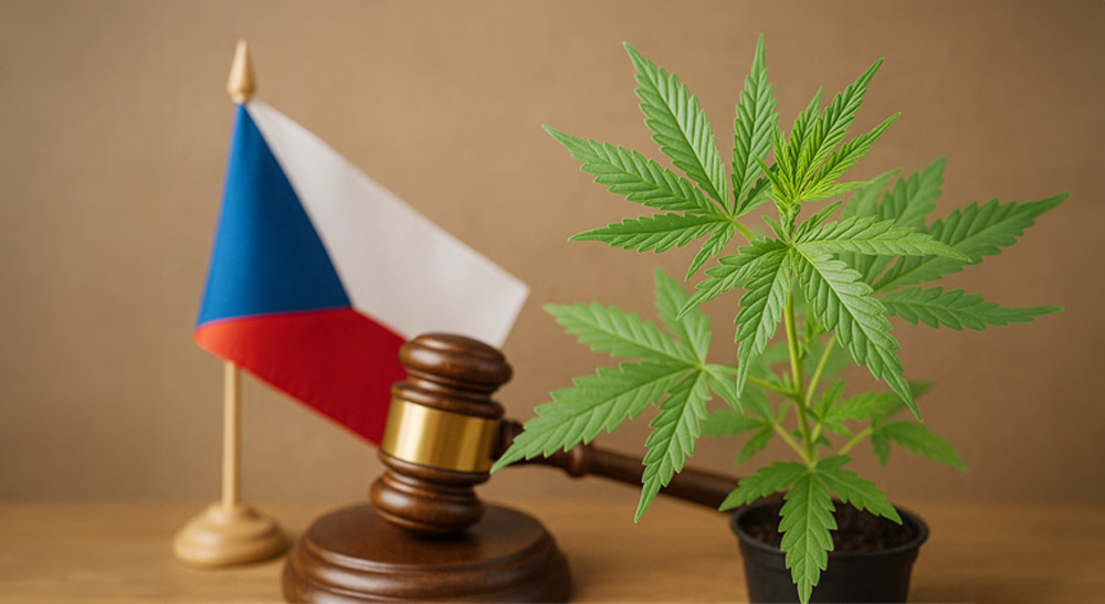 Czech 2026 Cannabis Reform