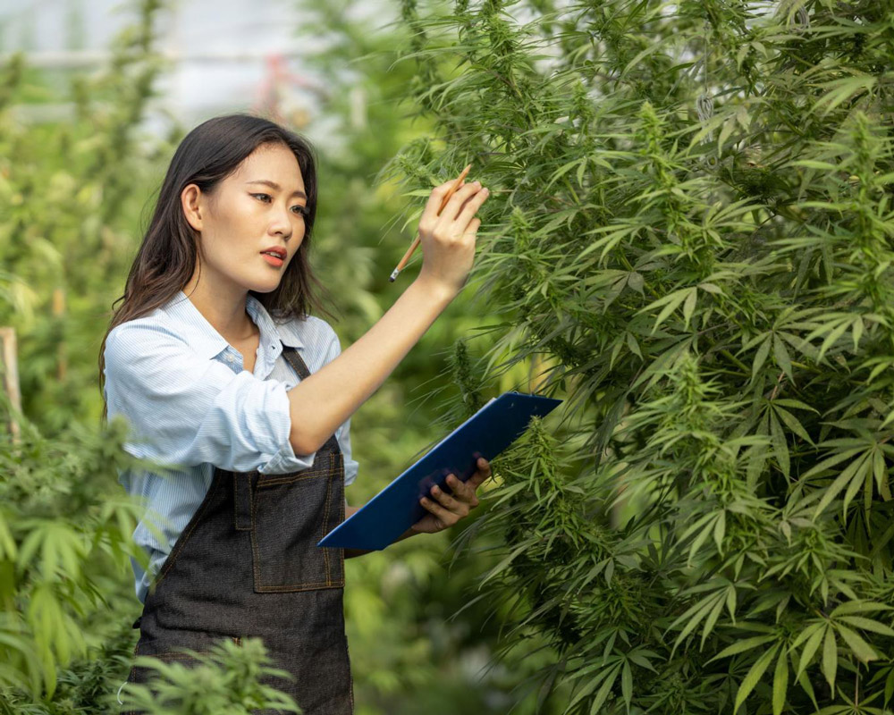 History of the in-house brand