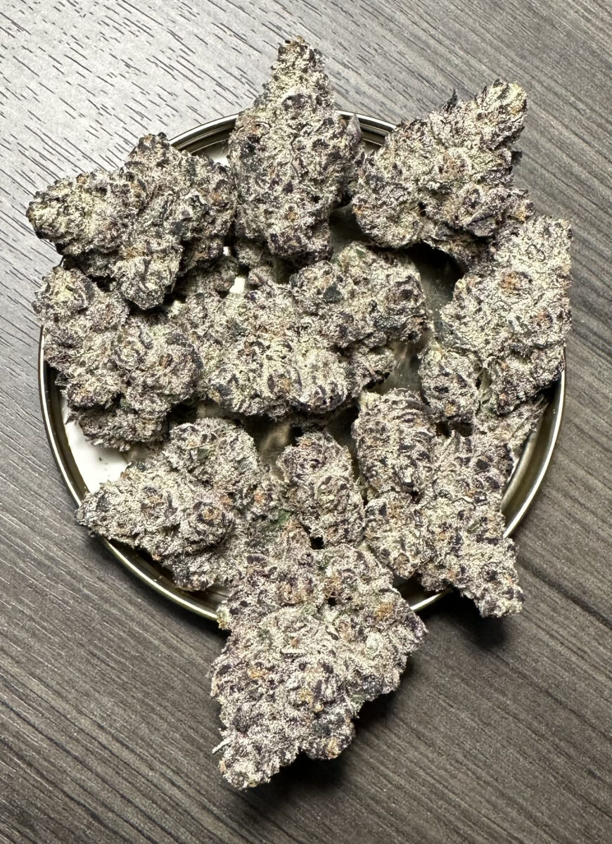 BlackLobster Black Lobster Feminized Seeds by Cipher Genetics - Image 1