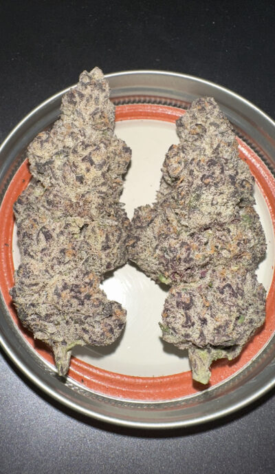 Black Lobster Feminized Seeds by Cipher Genetics - Image 3