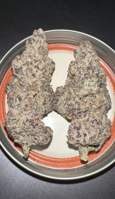 Black Lobster Feminized Seeds by Cipher Genetics - Image 3