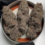 Red Reaper Feminized Seeds by Cipher Genetics