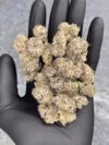 Schedule Z Feminized Seeds by Cipher Genetics