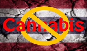Thailand cannabis laws 2026