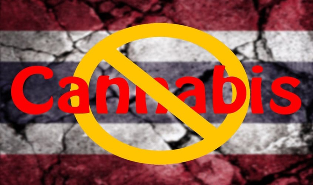 Thailand cannabis laws 2026