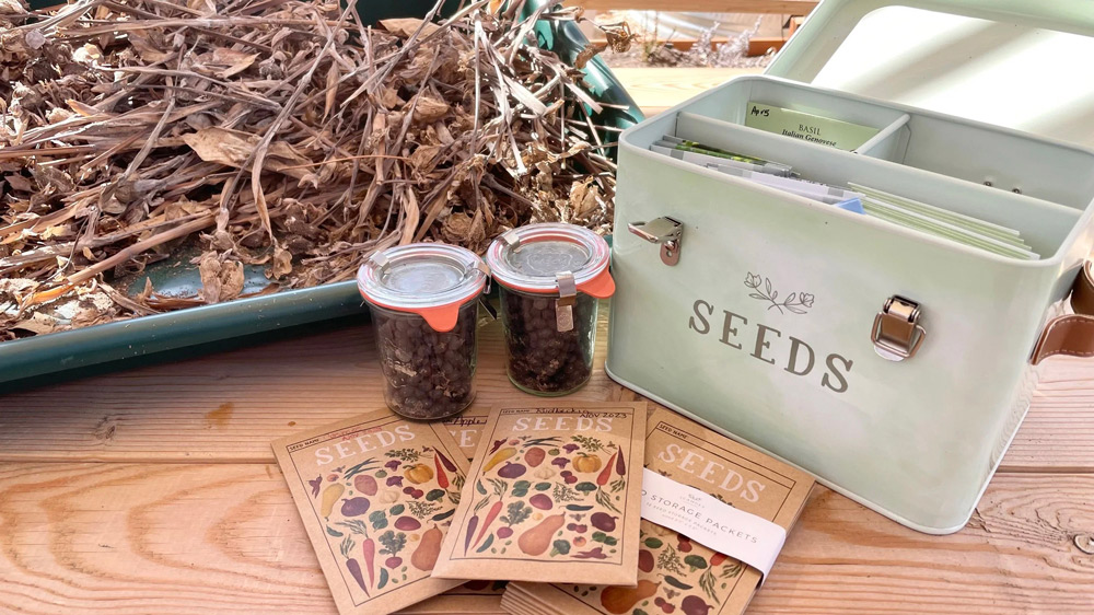 proper seed storage steps