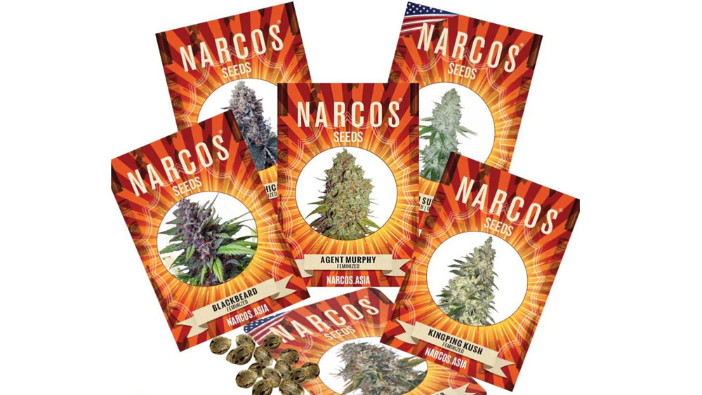 Narcos Seeds