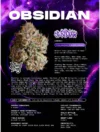 Obsidian Feminized Seeds by Wizard Trees - Image 2
