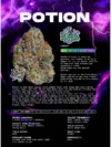 Potion Feminized Seeds by Wizard Trees - Image 2