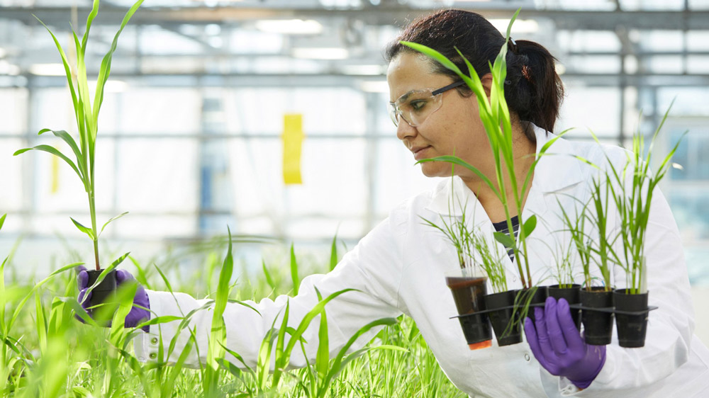 scientific investment in plant genetics research