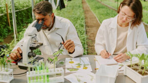 scientific investment in plant genetics research