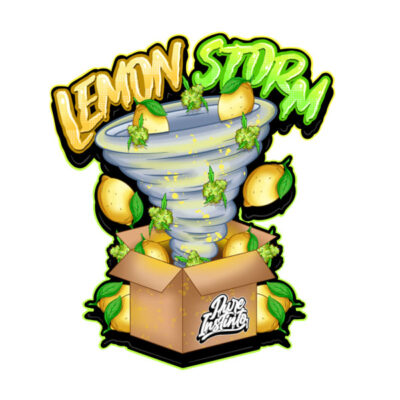 Lemon Storm Feminized Seeds by Pure Instinto - Image 2