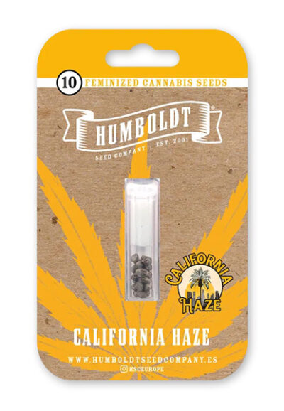 California Haze Feminized Seeds by Humboldt Seed Company - Image 2