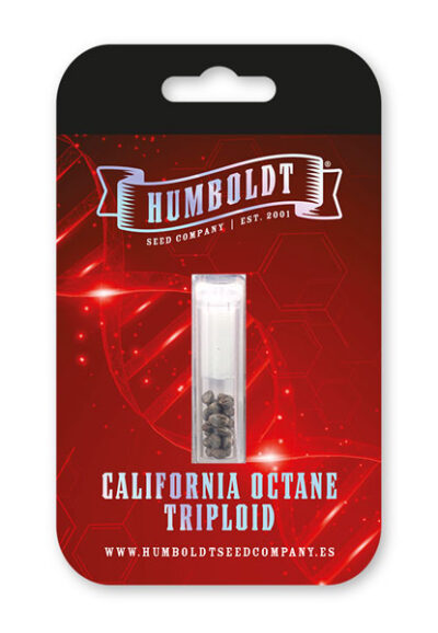 California Octane Triploid Feminized Seeds by Humboldt Seed Company - Image 2