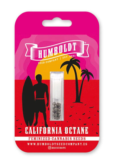 California Octane Feminized Seeds by Humboldt Seed Company - Image 2