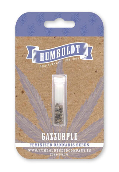 Gazzurple Feminized Seeds by Humboldt Seed Company - Image 2