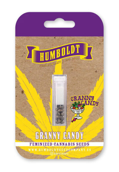 Granny Candy Feminized Seeds by Humboldt Seed Company - Image 2
